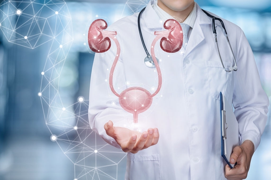 Imagem Urologia